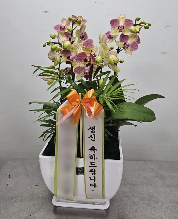 주문자 한ㅎㅎ 함평으로 주문주신 상품입니다