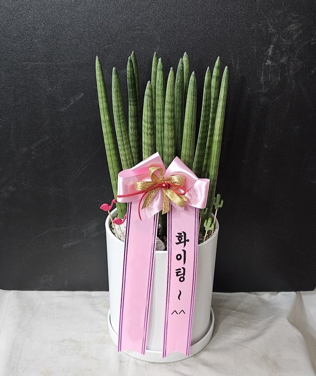 주문자 박ㅇㅇ 서울로 주문주신 상품입니다