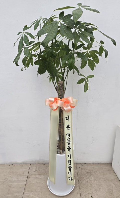 주문자 올ㅇㅇㅇㅇ 서울로 주문주신 상품입니다