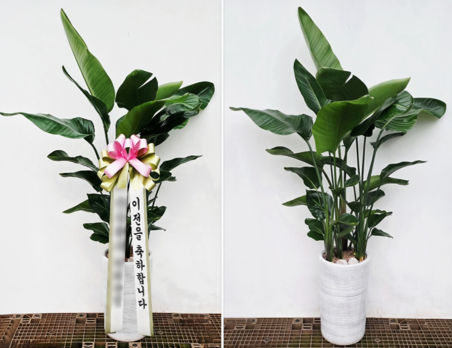 주문자 다ㅇㅇㅇ 파주로 주문주신 상품입니다