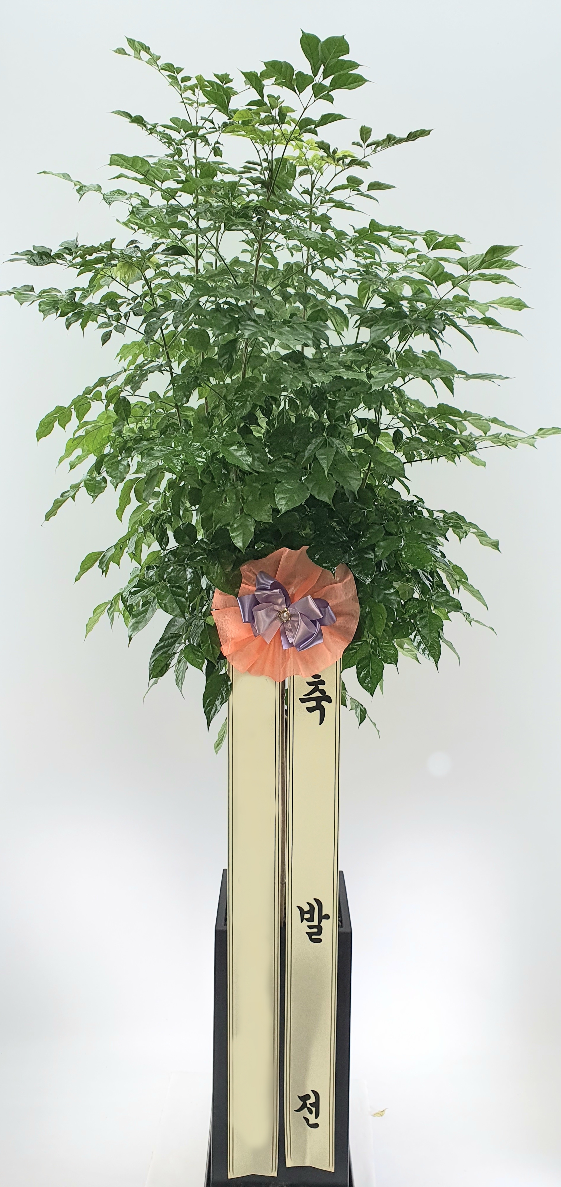 주문자 전ㅇㅇ 서울로 주문주신 상품입니다