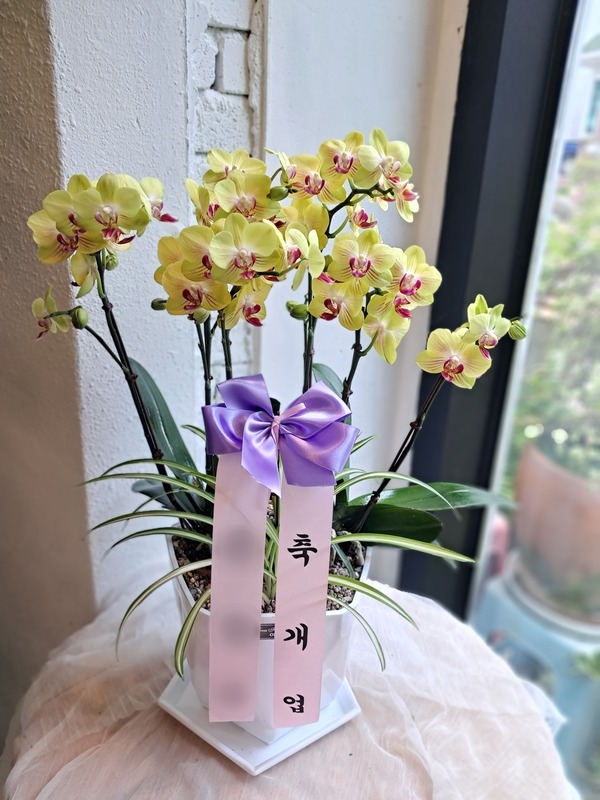 주문자 알ㅇㅇ 익산으로 주문주신 상품입니다