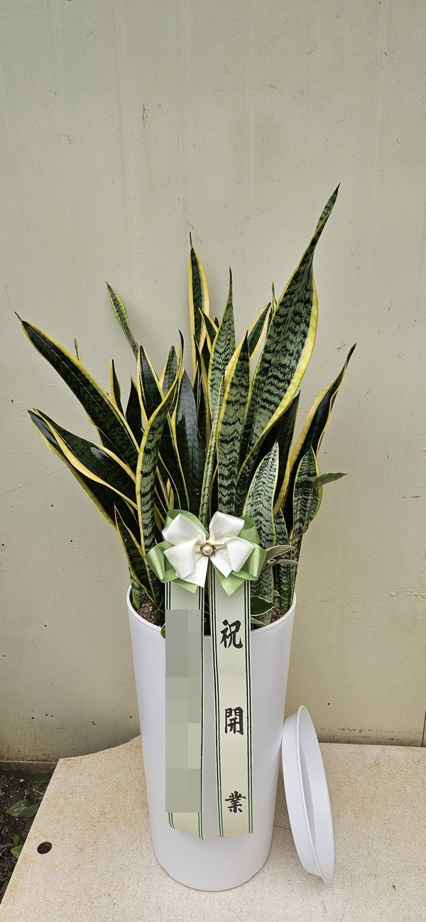 주문자 박ㅇㅇ 양주로 주문주신 상품입니다