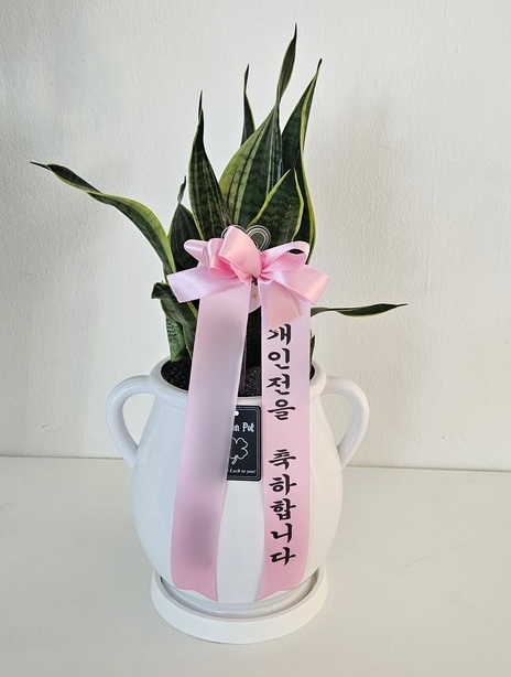 주문자 도ㅇㅇ 강원도로 주문주신 상품입니다