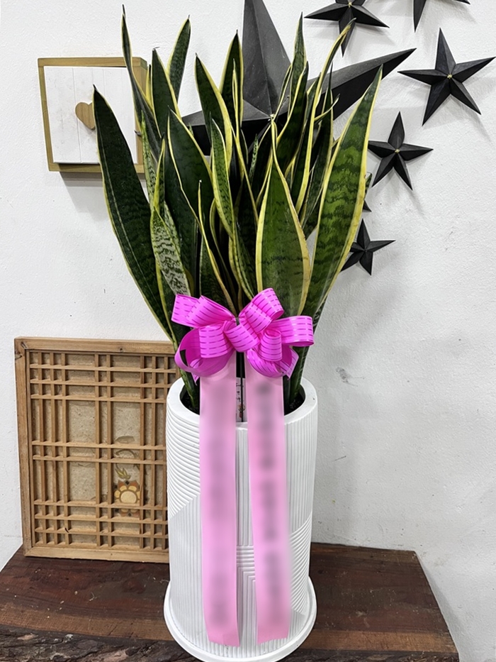 주문자 이ㅇㅇ 김천으로 주문주신 상품입니다