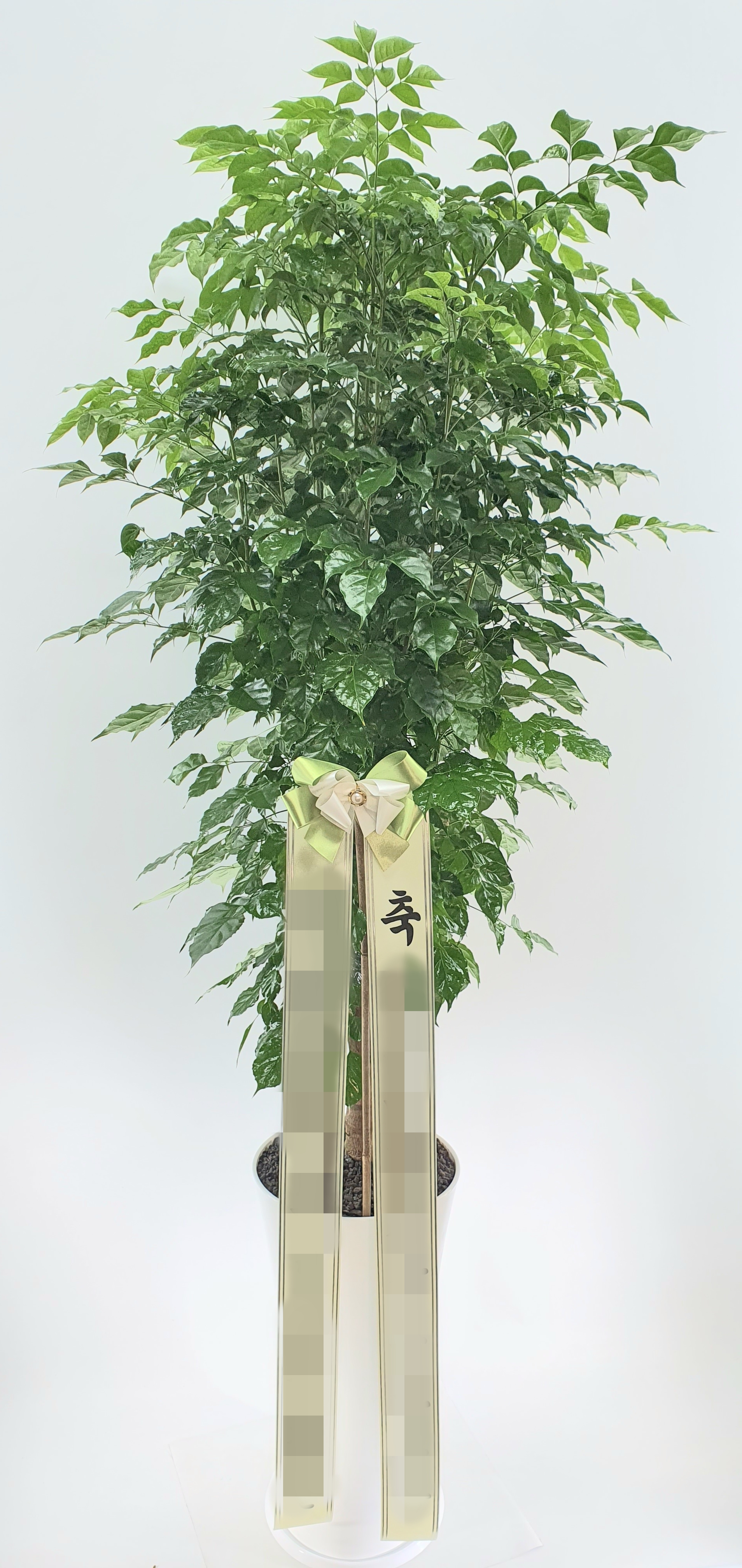 주문자 엠ㅇㅇㅇ 서울로 주문주신 상품입니다